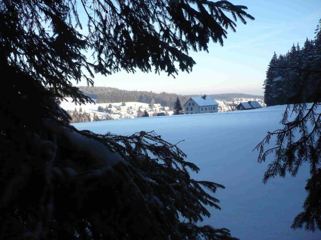 Hohengasthof Lowen - Escheck Schönwalde エクステリア 写真